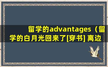 留学的advantages（留学的白月光回来了[穿书] 离边）